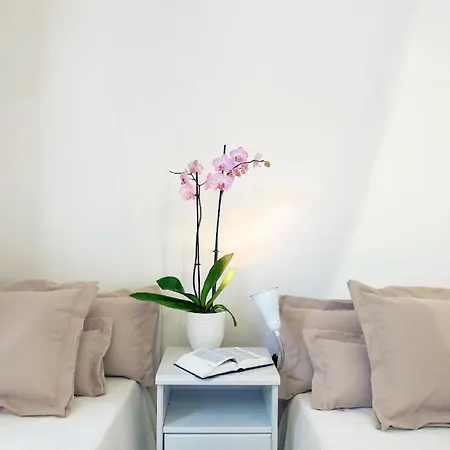 Apartman Masseria Pagliamonte *